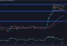 XRP Price USD: A Historical Overview and Analysis
