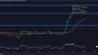 XRP Price USD: A Historical Overview and Analysis