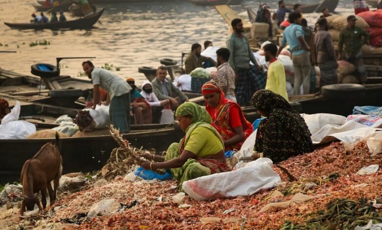 market dynamics contact numbers