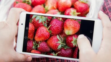 market penetration phone numbers