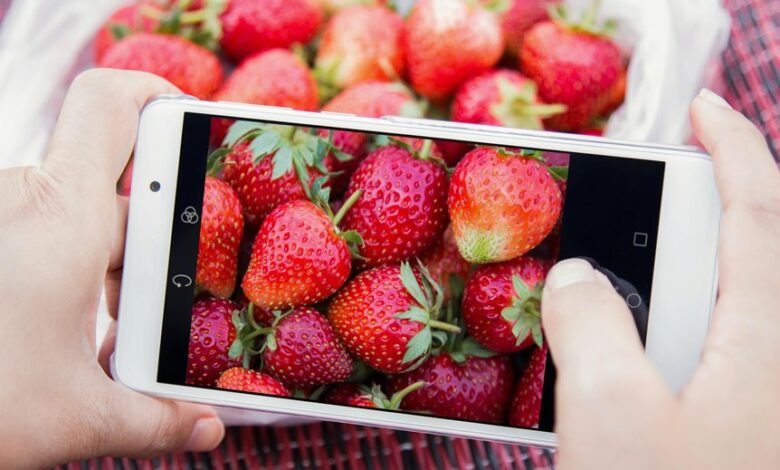 market penetration phone numbers