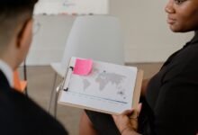 business development and insights