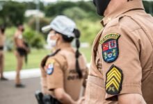 authority development for ranking