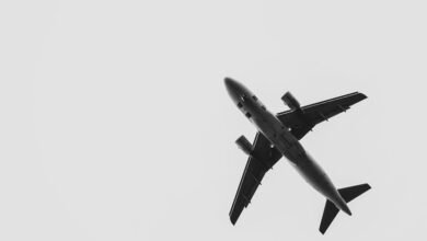 maximize roi with paid media