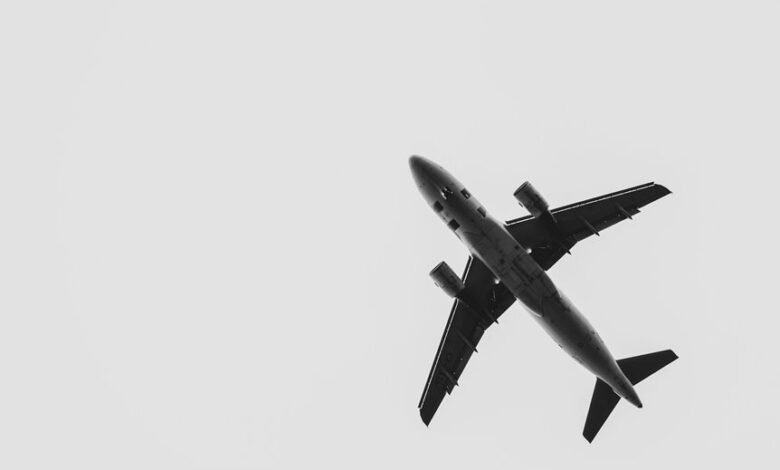 maximize roi with paid media