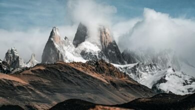 roi maximization advertising strategy