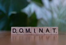 search authority ranking mastery