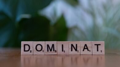 search authority ranking mastery