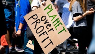 apex beam profit path