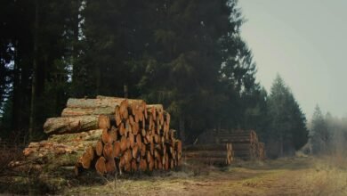 device management and monitoring