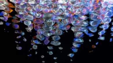 fusion flow digital horizon