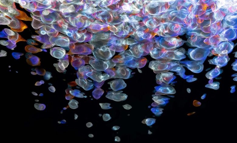 fusion flow digital horizon