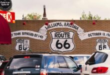 route growth dynamics analysis