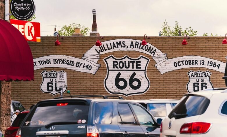 route growth dynamics analysis