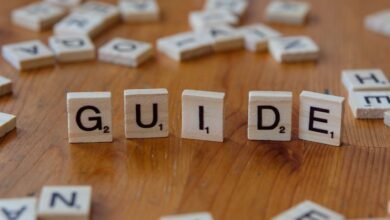 beginner guide for 3125866463