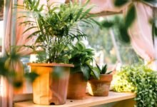 new gardening product x benefits