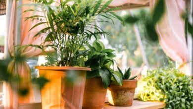 new gardening product x benefits