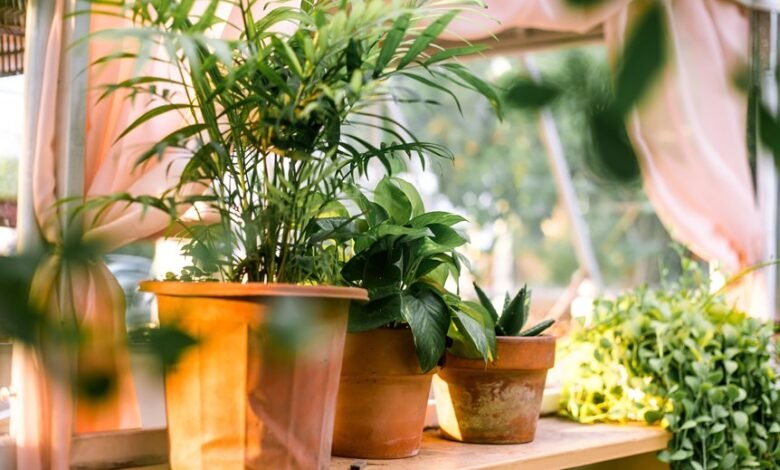 new gardening product x benefits